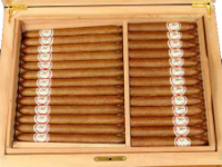 Hoyo de Monterrey LCDH Humidor packaging